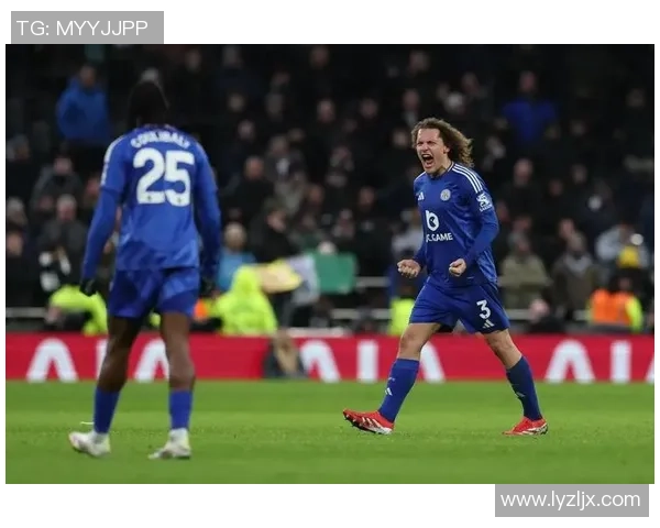 热刺主场迎战莱斯特城精彩对决全景直播尽在卫视频道